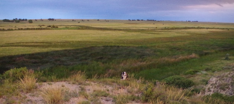 Innovative Deinking Technology Innovative Deinking Technology