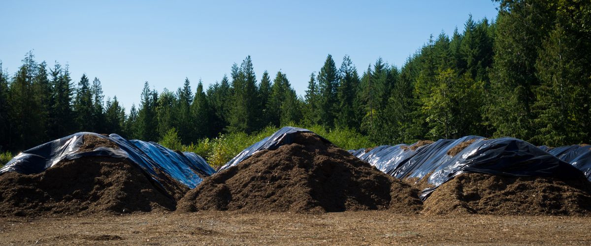 Piles of compost covered with black tarps