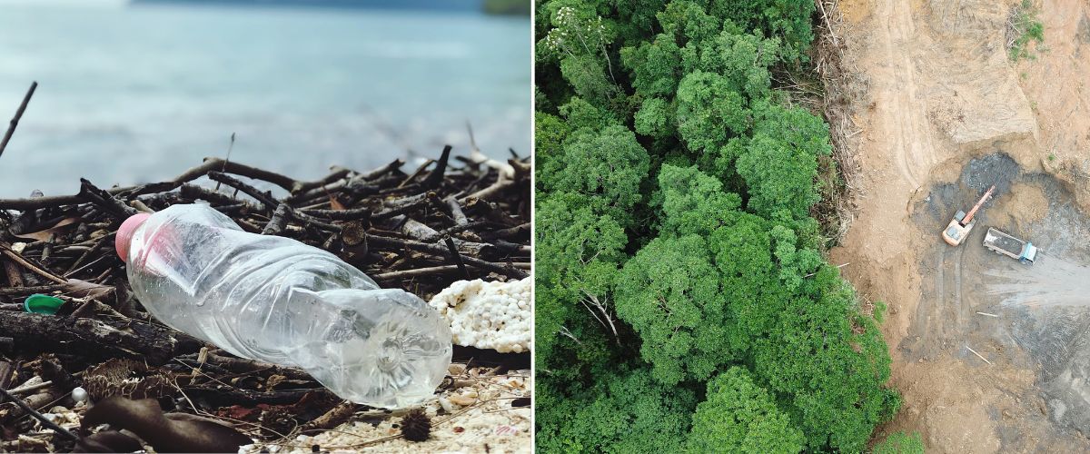 Split image: Left shows a plastic bottle on a littered beach; right shows deforestation beside a green forest.