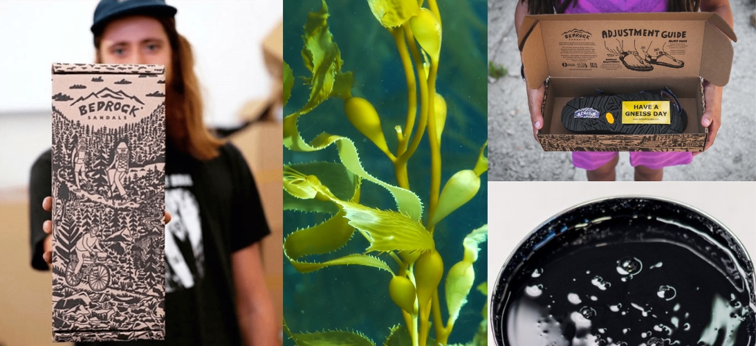 algae ink for sustainable printing algae ink for sustainable printing