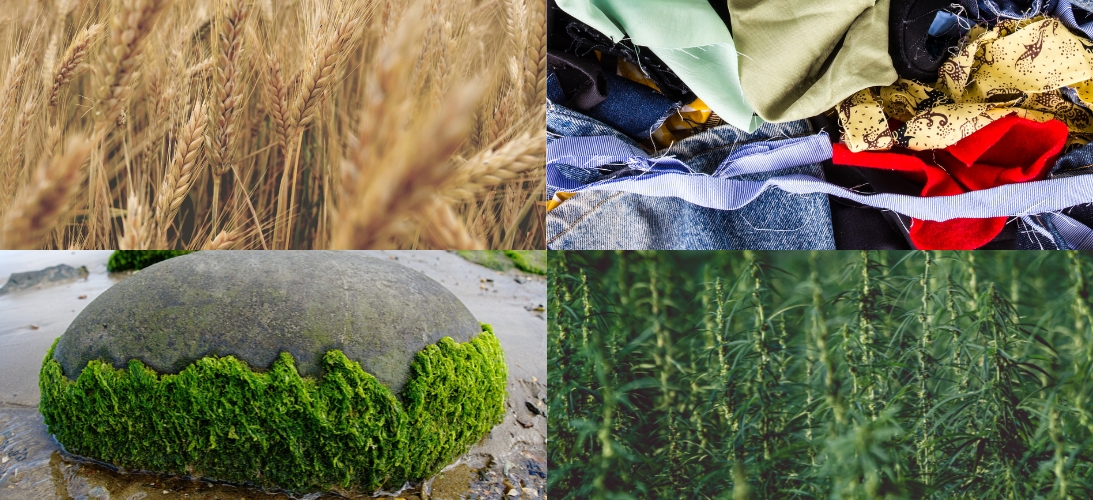 next-generation fibers next-generation fibers