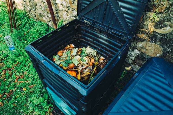 compost bin with food waste