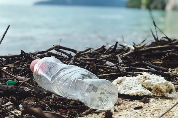 plastic bottle washed up on shore