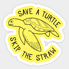 Save a Turtle Skip the Straw