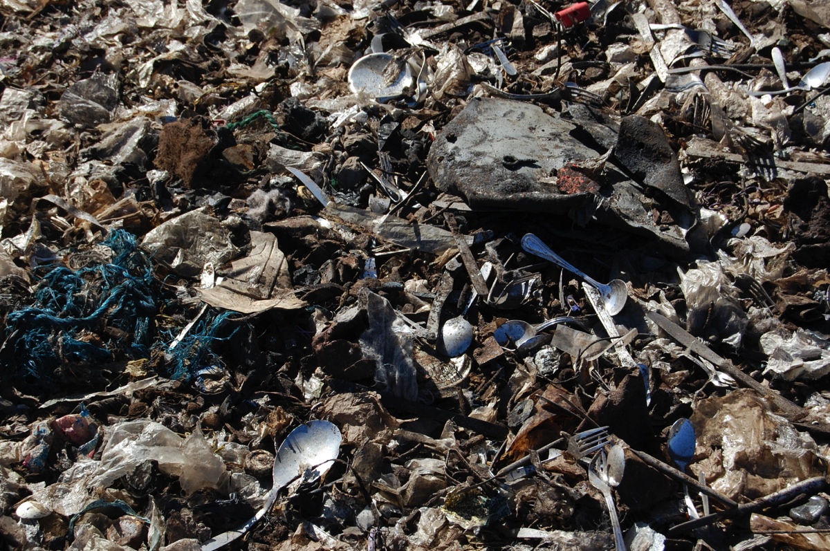 Contamination in Compost