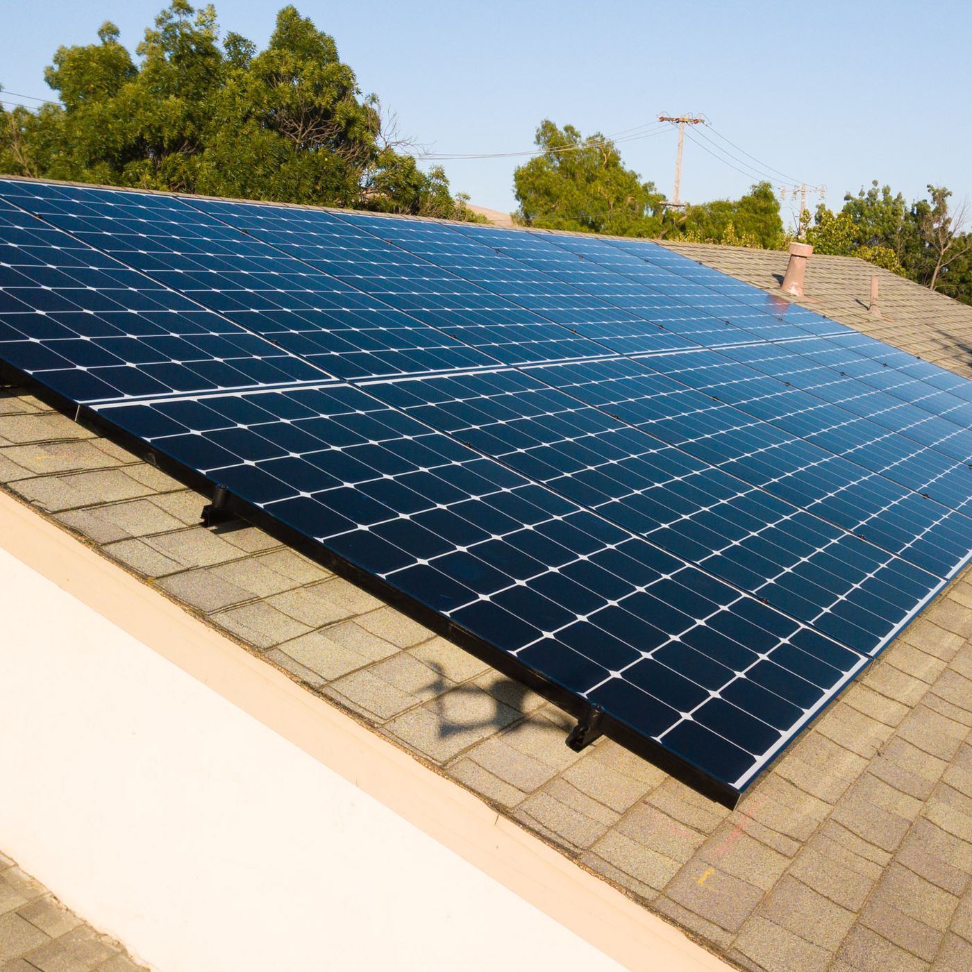 What does sustainable future mean